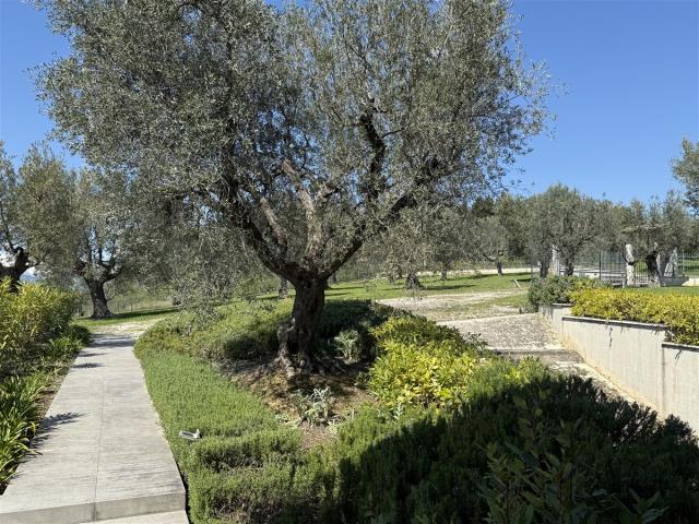 Image description
